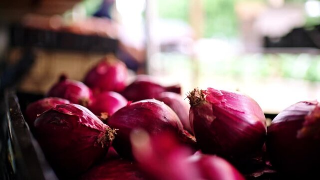 A bunch of onions in a crate at a garden. Dallas, Texas.