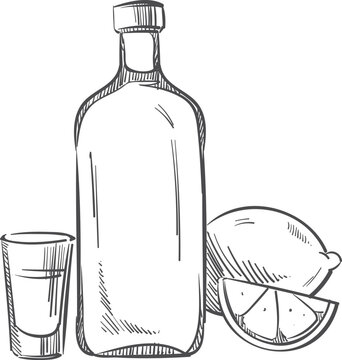 Vodka bottle. Alcohol shot hand drawn icon