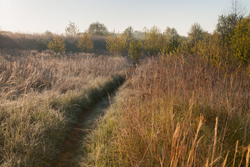natural landscape after sunrise