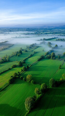 Fototapeta premium Aerial view of rolling green farmland fields representing agriculture, sustainability, and rural landscape. 