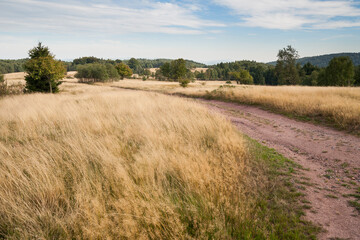 mountain landscape in autumn