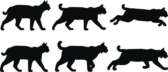 Black silhouette vector illustration of six lynx in walking and running stride sequence, animal locomotion, wildlife behavior, nature design, motion study © Milan