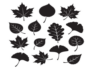 Tree leaf silhouette with a beautiful and natural design