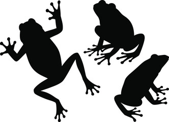 Frog Silhouettes Set in Different Poses, Jumping and Sitting Amphibian Shapes, Wildlife Animal Vector Illustration Isolated on White Background