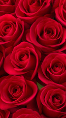 Obraz premium Seamless pattern of fresh red roses forming a romantic floral background. 