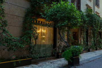 Traditional Italian building facade with plants in Verona, Italy