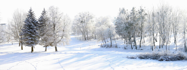 Snow covered winter landscape with frosted bare trees near pond. Winter deciduous trees in snow and frozen pond.