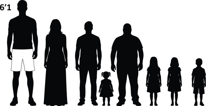 Human silhouettes height comparison, adults and children, body types, stature differences, growth stages, measurement reference, diversity &ndash; flat vector illustration