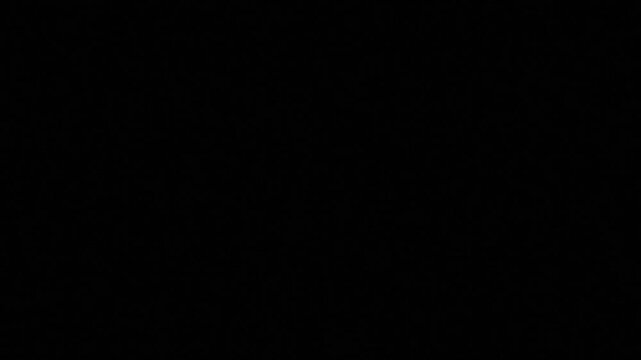 Black silhouette of a dancer performing a dramatic pose against a white background