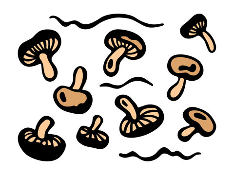 Horizontal banner with the image of edible mushrooms. Hand drawing, vector illustration on a white isolated background