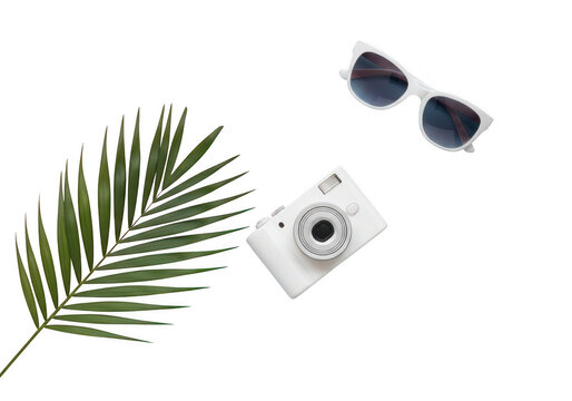 Tropical aesthetic with sunglasses and camera ideal for summer designs on transparent background