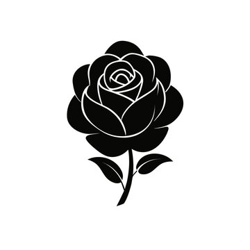 Rose Flower Icon

Red Rose Icon

Rose Blossom Icon

Romantic Rose Icon

Love Rose Symbol

Floral Rose Icon

Elegant Rose Icon

Rose Outline Icon

Rose Line Icon

Rose Silhouette Icon

Minimal Rose Ico
