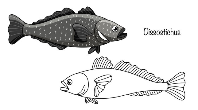 Dissostichus