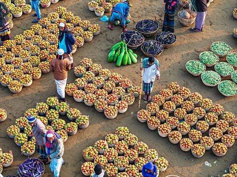 Kanaighat, Bangladesh - 07 February 2026: Aerial view of a bustling marketplace where vibrant tomatoes, eggplants, and gourds create a colorful geometric pattern.