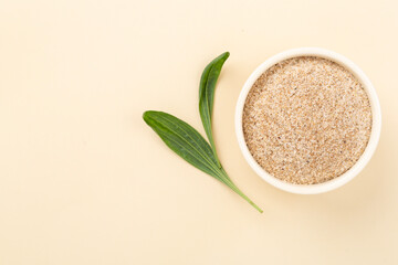 Psyllium husk powder with fresh leaves on color background, top view © Liami