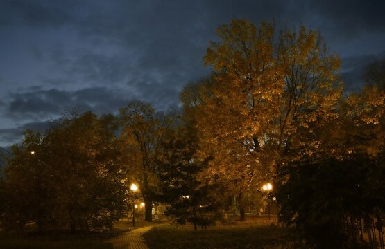 Autumn urban landscape. Yellow orange trees and leafy alley path. Lights and shadows in light of lanterns