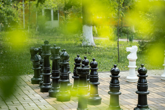 White and black giant chess pieces in a green spring city park. Biryuch, Belgorod region, Russia