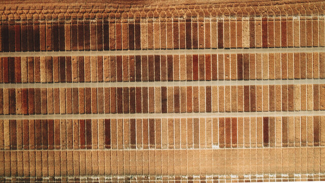Aerial view of a geometric array of drying lavender, a mosaic of browns and tans under the sun, Greoux-les-Bains, Provence-Alpes-Cote d'Azur, France.
