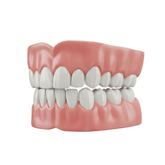 Obraz premium TRANSPARENT BACKGROUND / ISOLATED 3D render of human teeth and gums dental model