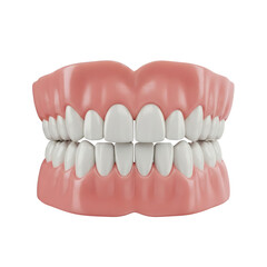 Obraz premium 3D rendering of human dental anatomy with healthy teeth and gums, ideal for medical and educational purposes.