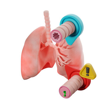 Bronchi and bronchioles cross-sections highlighting obstruction risk. 3D illustration.