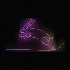 Rabbit Line Art Design
