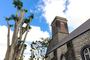 Historic Saint Francois d'Assise Church with stone walls and unique trees in Pamplemousses, Mauritius