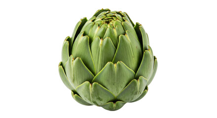 Obraz premium Single whole green artichoke with tightly packed leaves, presented on a clean, transparent background.
