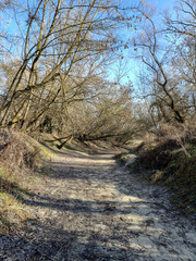 dried riverbed at the end of winter