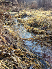 water flow in dry grass1