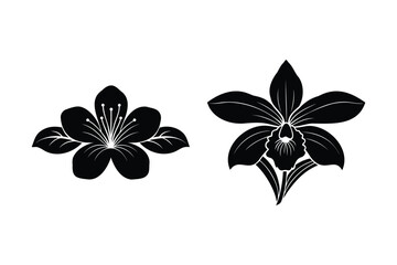 Simple Floral Design Elements