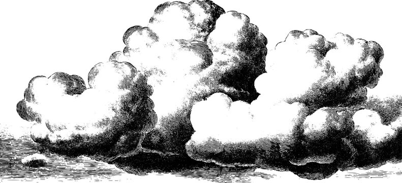 Dramatic storm clouds with high density in vintage botanical engraving style