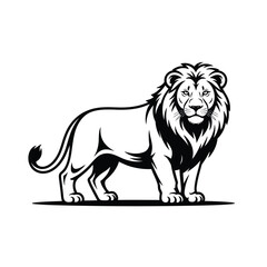 Obraz premium Black and white of a lion standing on all fours animal wildlife de