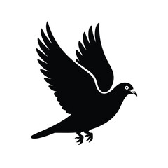 Fototapeta premium Black pigeon bird silhouette in flight with wings spread white background desig