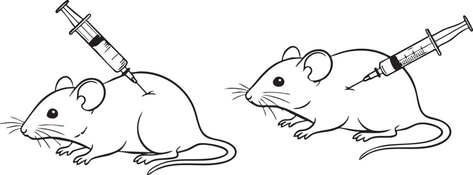 Black and white of two mice with syringes injecting into their backs rodents injection