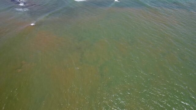 praia morna e tropical 