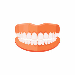 Obraz premium Dental Prosthesis Model of Upper and Lower Human Jaw with White Teeth, Oral Care and Hygiene Educational Tool