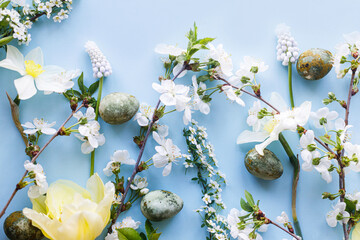 Easter flat lay. Stylish easter eggs, daffodils, tulip and cherry flowers on blue background. Easter celebration, season greetings mockup. Spring modern floral banner © sonyachny