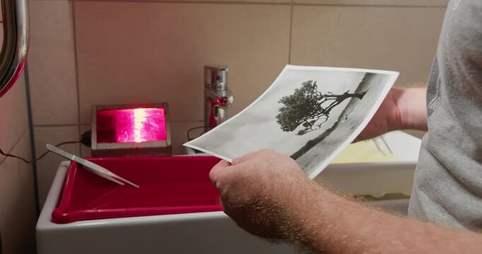 Darkroom lab worker reviewing finished photographic print after analog photo printing process