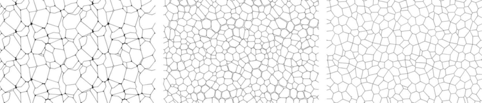 Set of hand drawn vector textures, monochrome geometric cellular patterns, Voronoi diagrams, organic mosaic stone paving, and abstract line art backgrounds