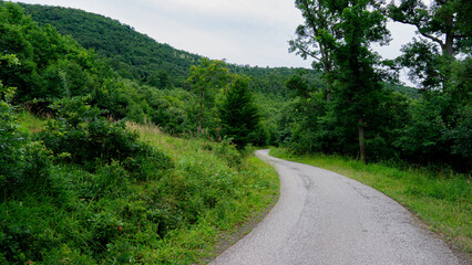 Fototapeta premium Winding Rural Road Through Lush Green Forest Hills in Summer. Scenic winding rural road leading through dense green forest and rolling hills under an overcast summer sky.