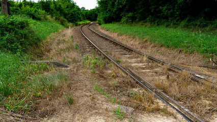 Obraz premium Curving Railway Track Through Green Countryside Landscape. Scenic railway track curving through lush green countryside surrounded by trees and grass.