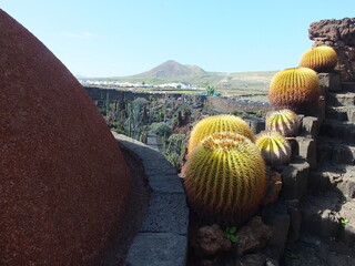 paysage de T&eacute;n&eacute;rife