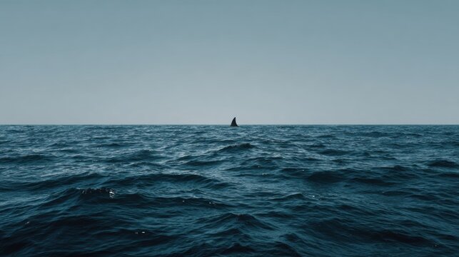 Conceptual Ocean Scene With Dolphin Fin Barely Visible in Vast Water and Clear Sky, Hinting at Connection With Nature and Marine Life