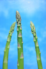 新鮮なグリーンアスパラガス