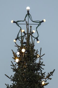 Christmas tree illuminated with light bulbs with star tip, Korpostr&ouml;m, Korpo or Korppo, southwestern archipelago, Finland