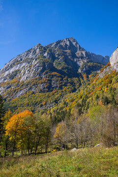 Aerial view of rugged mountain peaks rise majestically against a clear blue sky, framed by trees in autumn colors, Val di Mello, Sondrio, Lombardia, Italy.