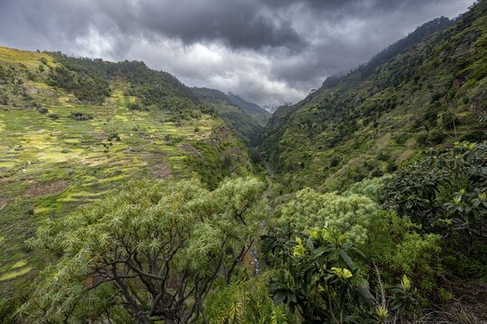 View in ravine, mountains with terraced cultivation, Levada do Moinho, Ponta do Sol, Madeira, Portugal