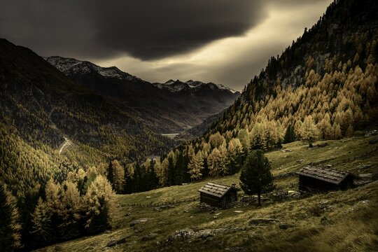 Mountain hut on mountain meadow with autumnal mountain forest and threatening cloudy sky, Martell valley, Merano, Vinschgau, South Tyrol, Italy