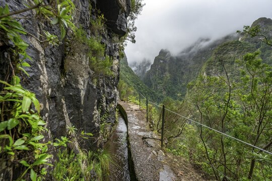 Narrow hiking trail along a levada, view of forested mountains, Levada do Caldeir&atilde;o Verde, Parque Florestal das Queimadas, Madeira, Portugal